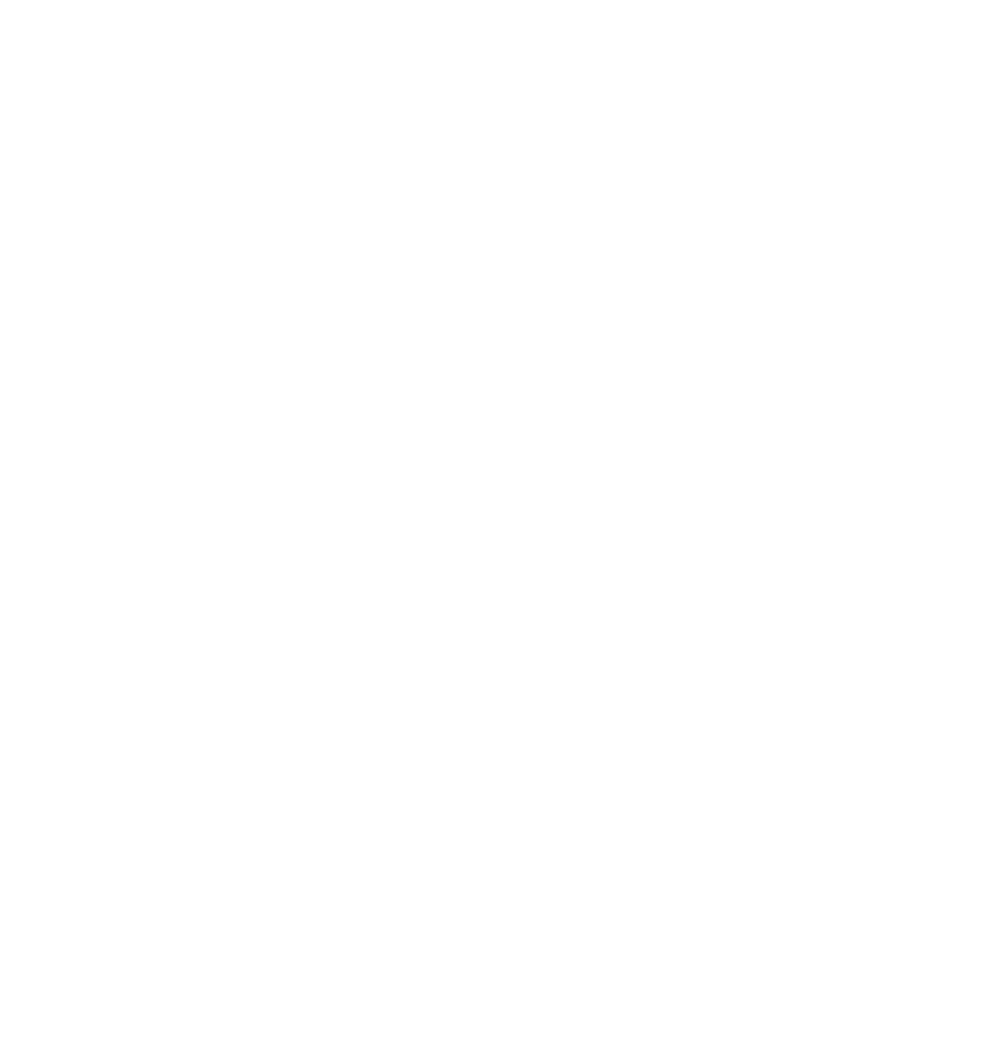Virtage Logo Central